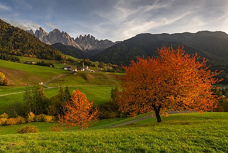 The classic landscape of Santa Maddalena village view towards Odle range (Geisler Gruppe), Val di Funes, dolomites, South Tyrol, Italy, Europe